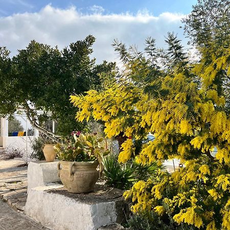 Syconium Trullo And Lamia Gea Charme And History Hotel Ostuni Kültér fotó