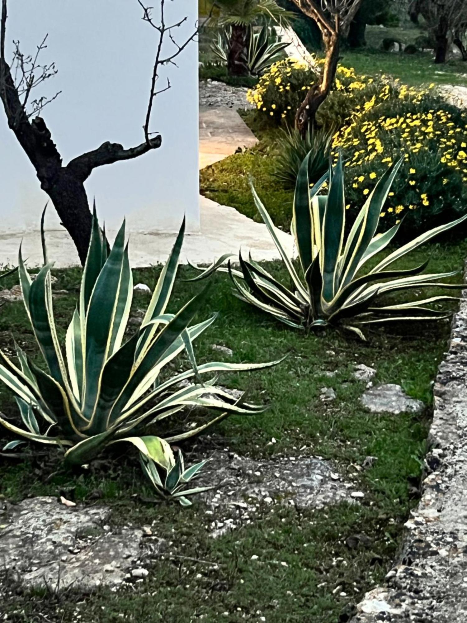 Syconium Trullo And Lamia Gea Charme And History Hotel Ostuni Kültér fotó