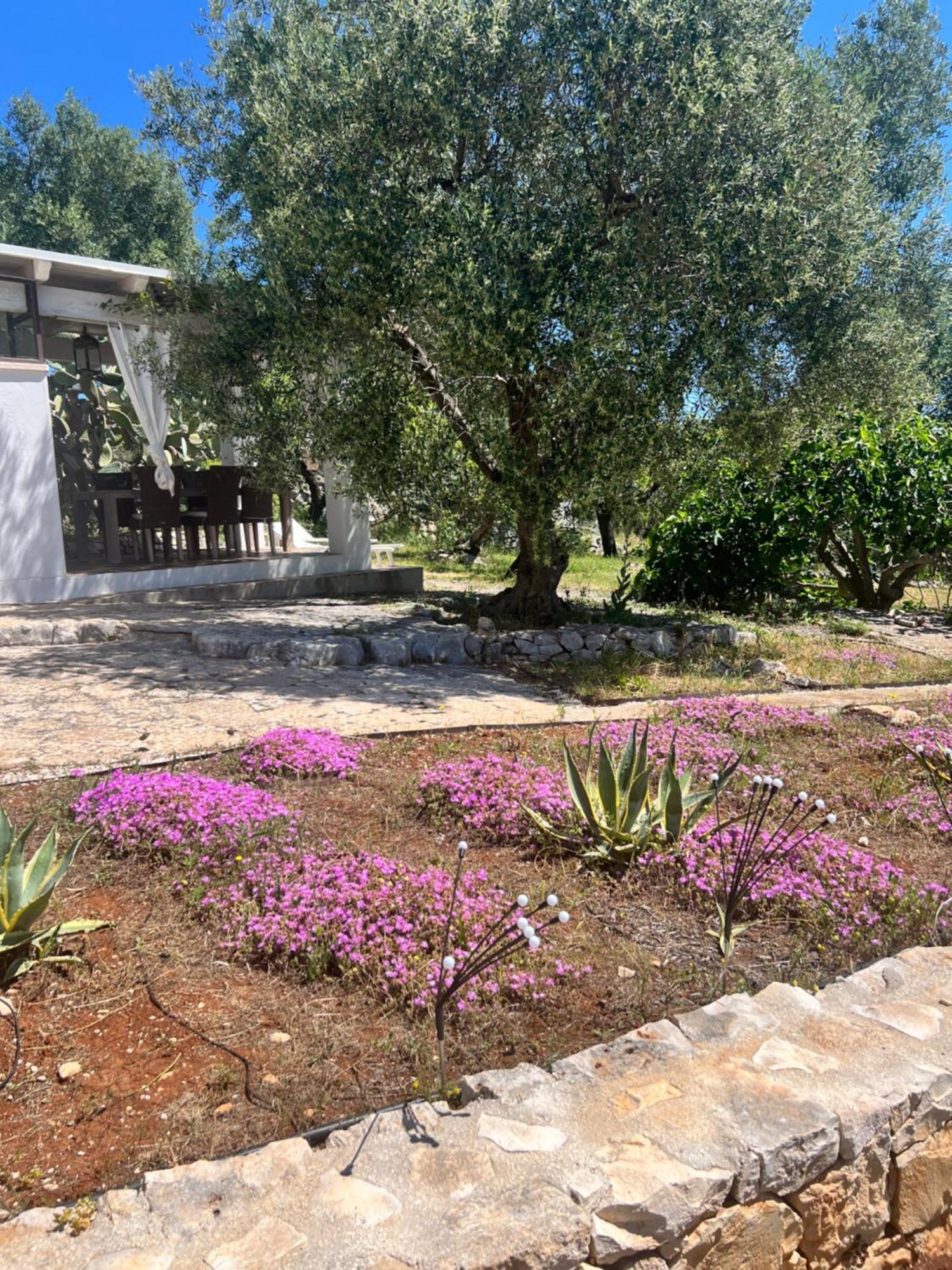 Syconium Trullo And Lamia Gea Charme And History Hotel Ostuni Kültér fotó